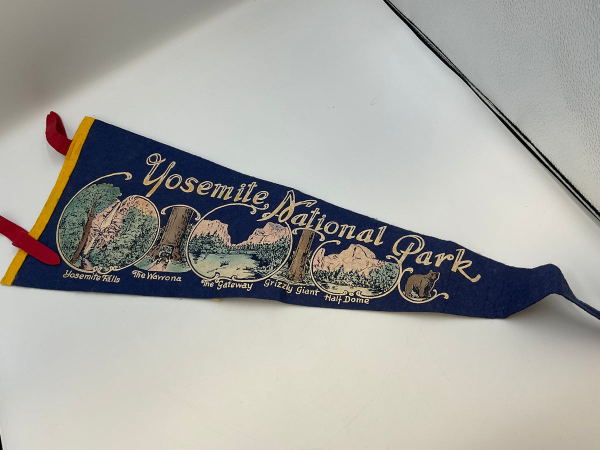 Vintage Souvenir & High School Sports Felt Pennants