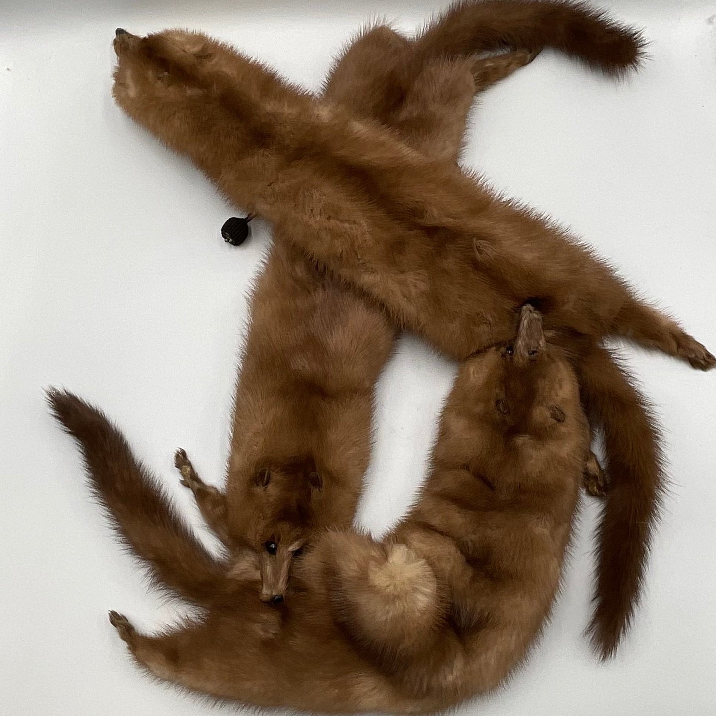 Vintage Mink Fur Stole