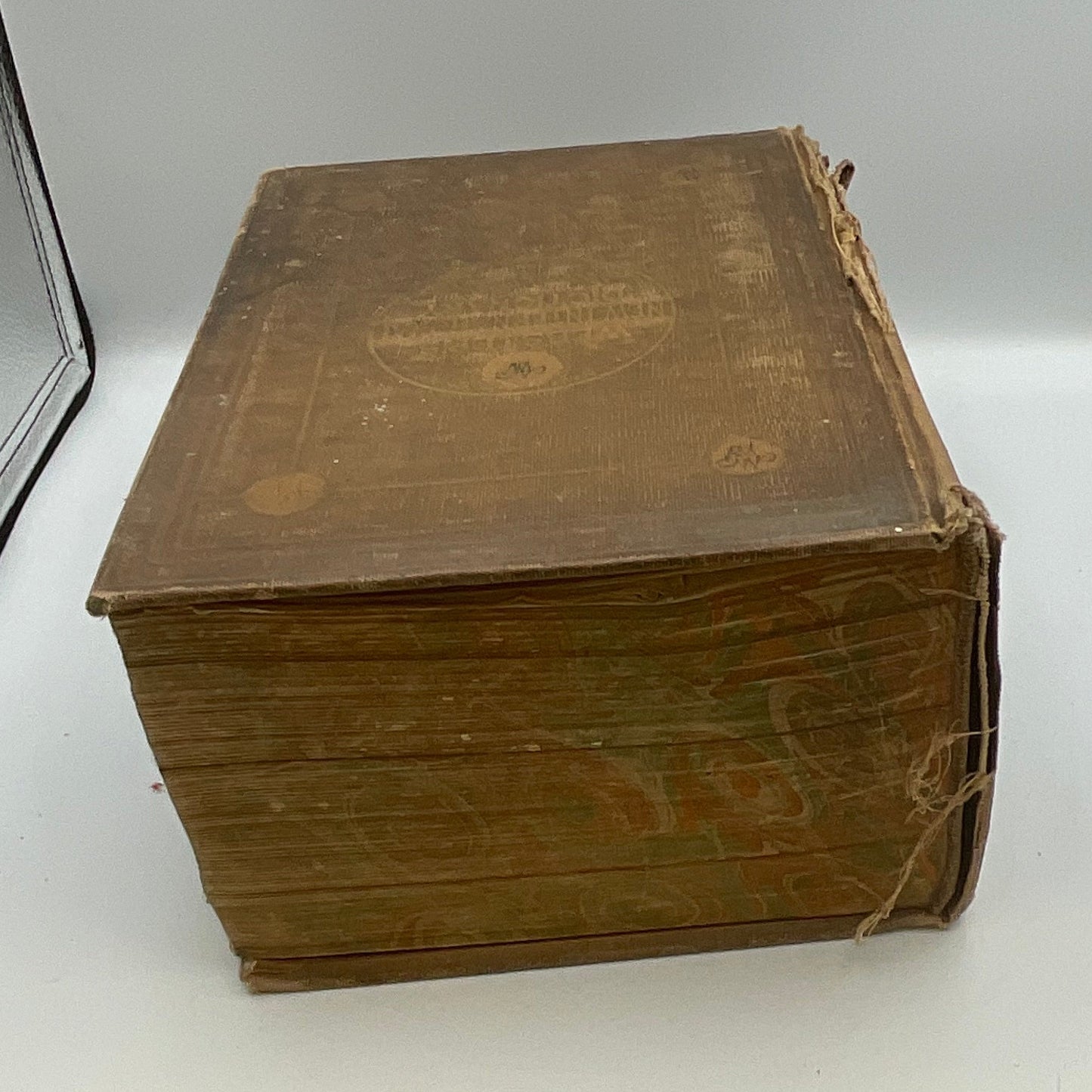 Webster's New International Dictionary, Second Edition