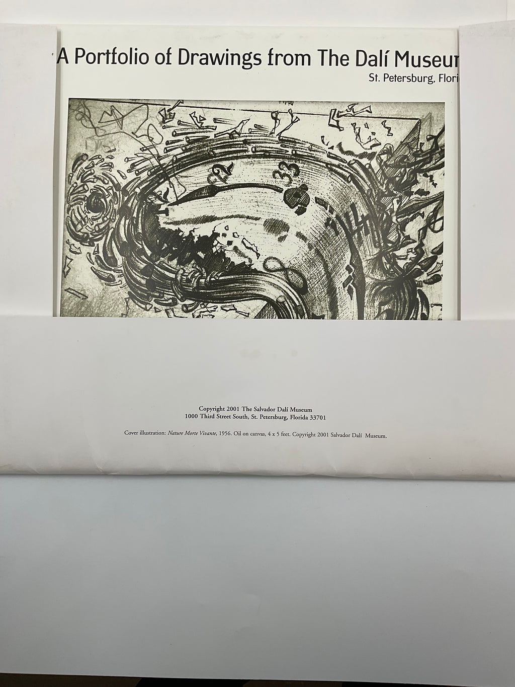 Salvador Dali Museum St Petersburg FL Art Print Portfolio As-Is Lot