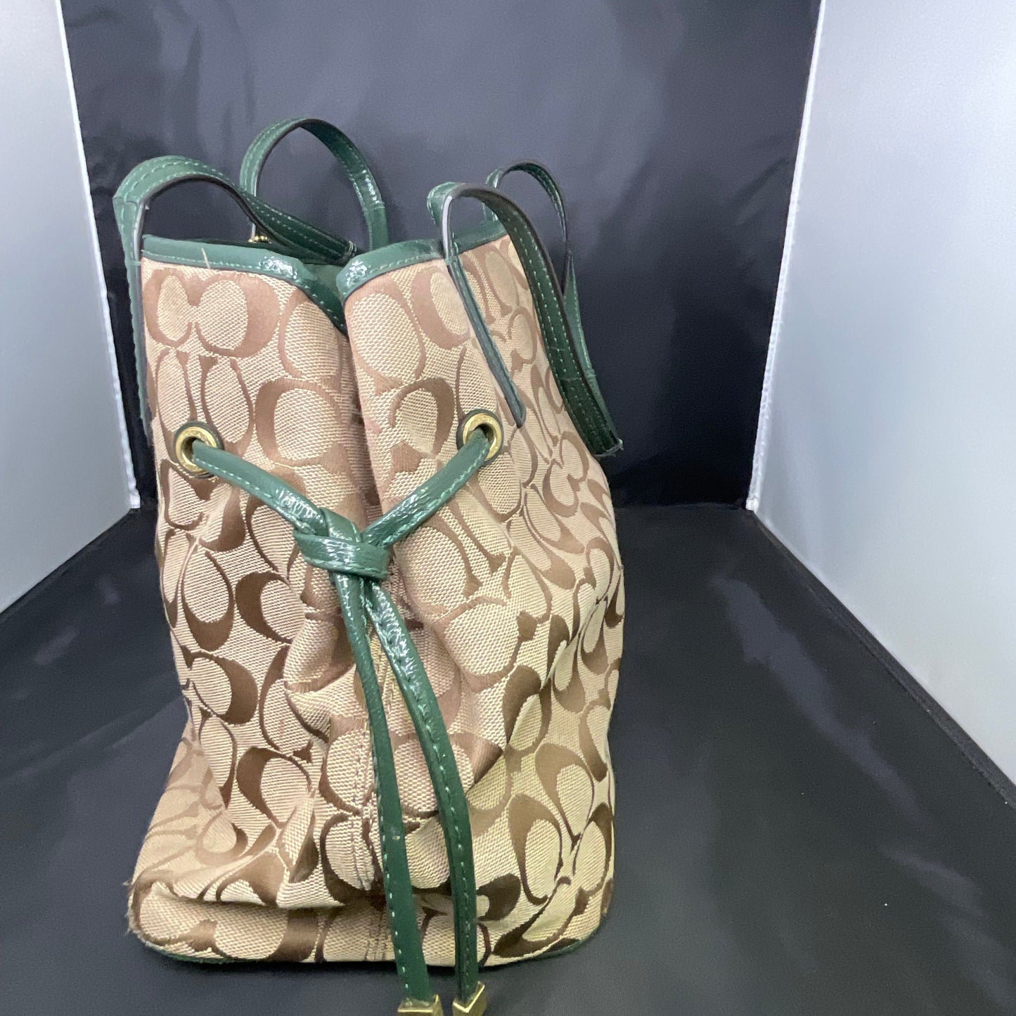 Coach Signature Python Striped Carryall Green Tote Bag