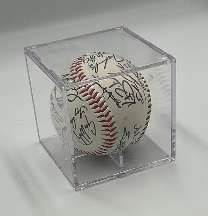 Tampa Bay Rays AL East 2008 Champions Team Signed Baseball