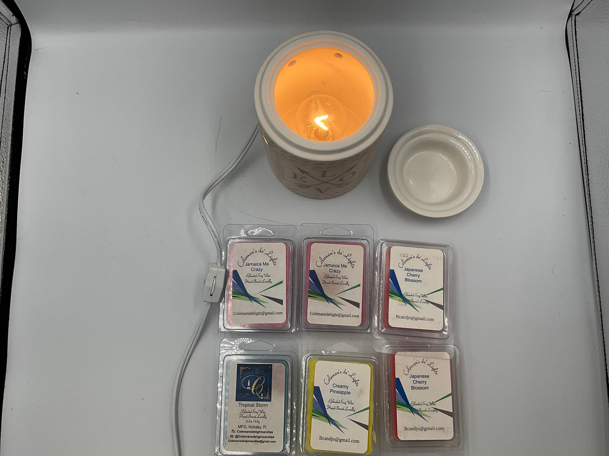 Scentsy Love Swept Wax Warmer With 6 Assorted Scented Wax Melts