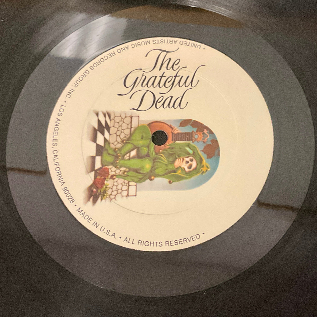 Grateful Dead Blues For Allah Vintage LP