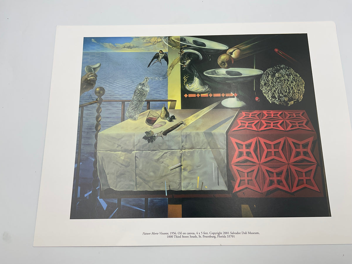 Salvador Dali Museum St Petersburg FL Art Print Portfolio As-Is Lot