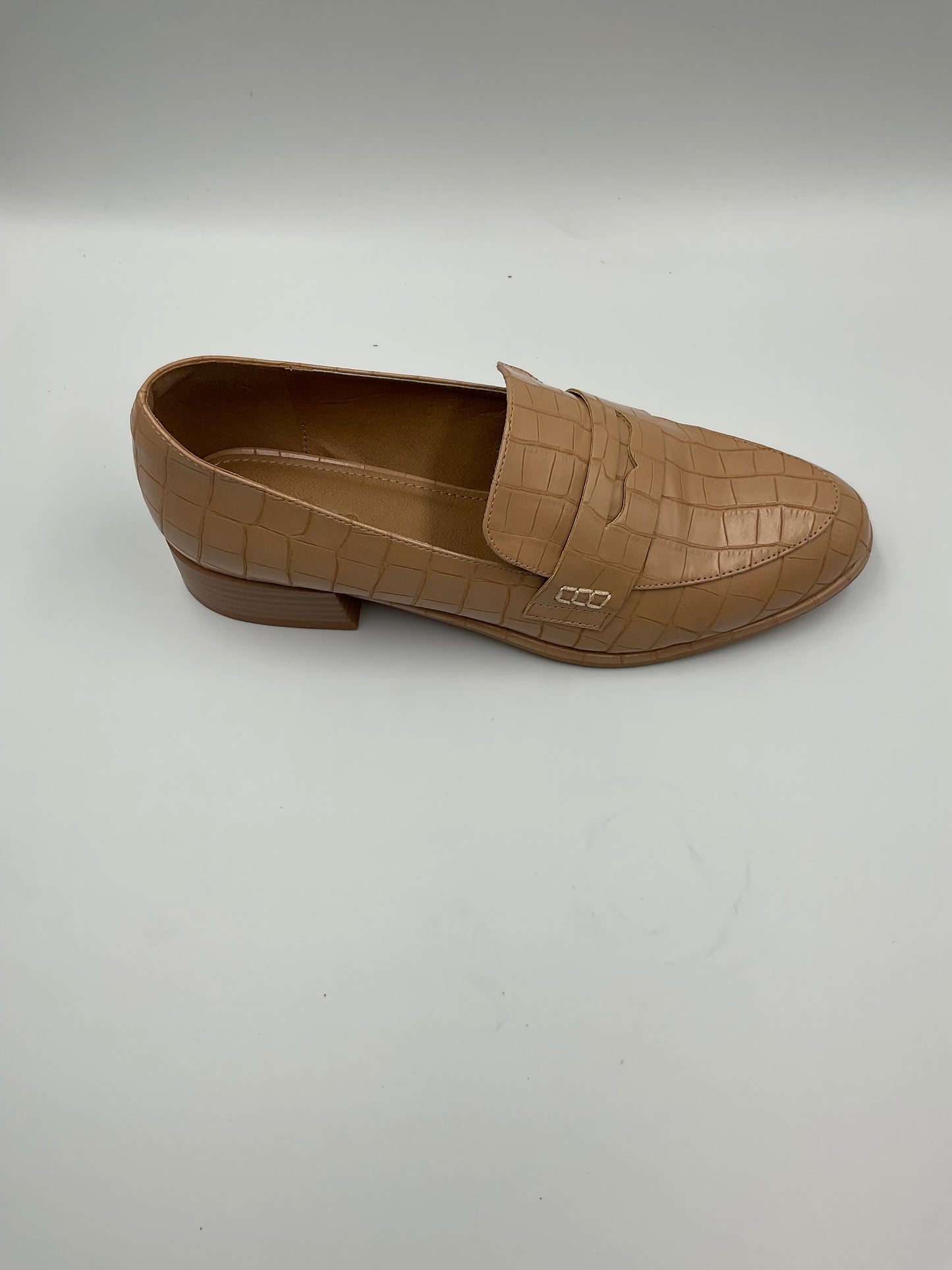 Aldo Adrelini Penny Loafer Size 10