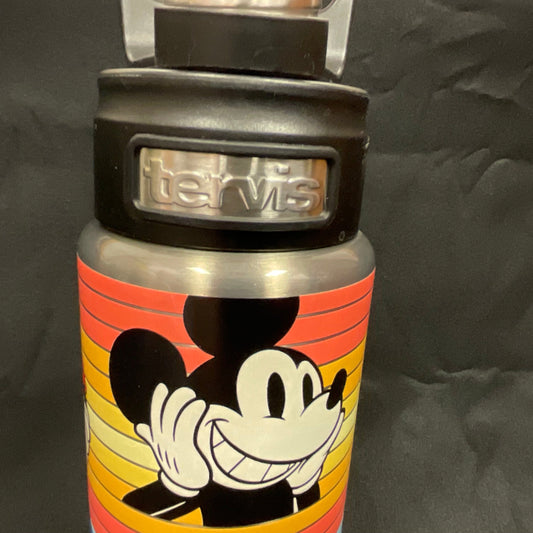 Mickey and Co. Disney Thermus