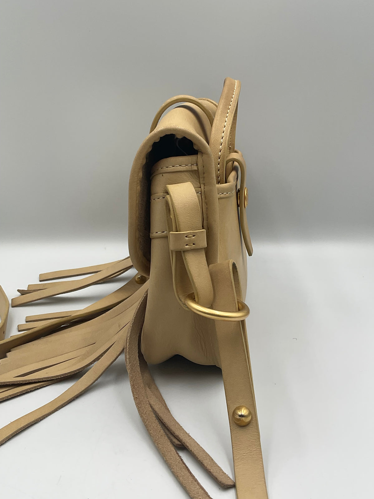 Dooney & Bourke Lulu Fiona Leather Fringe Crossbody Saddle Bag