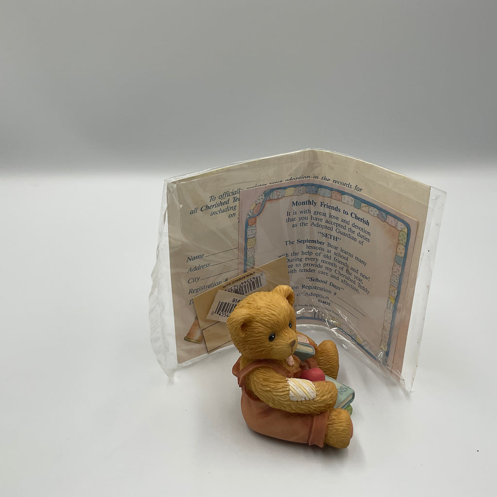Cherished Teddies “Mark” Friendship In The Air