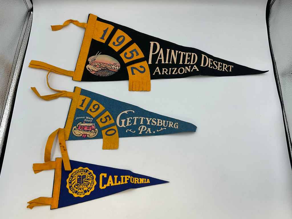 Vintage Souvenir & Collegiate Felt Pennant Banners