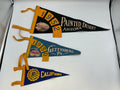 Vintage Souvenir & Collegiate Felt Pennant Banners