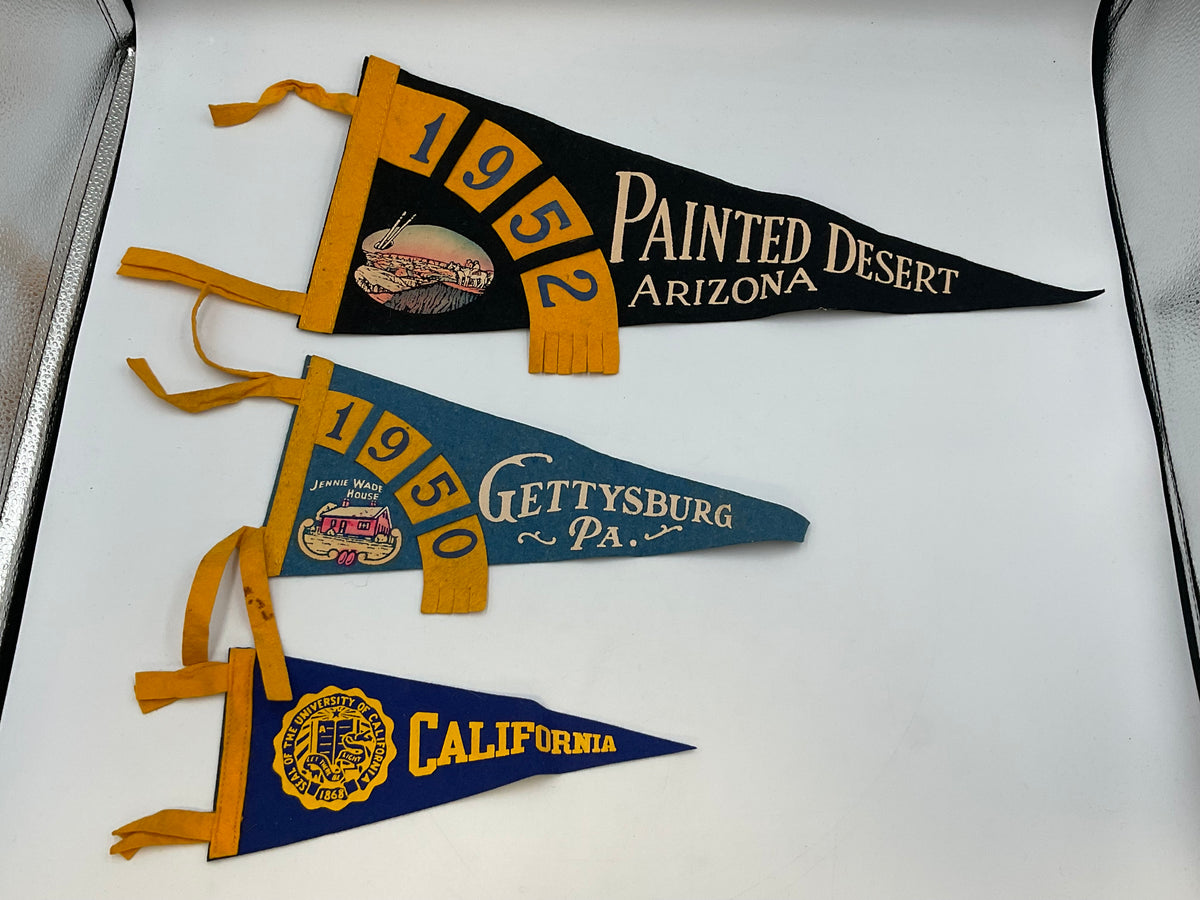 Vintage Souvenir & Collegiate Felt Pennant Banners