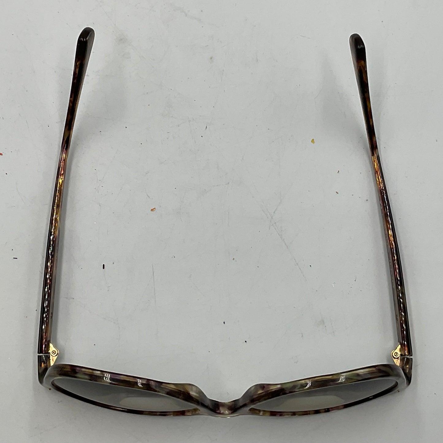 Coach Women’s HC8132 Cat-Eye Sunglasses