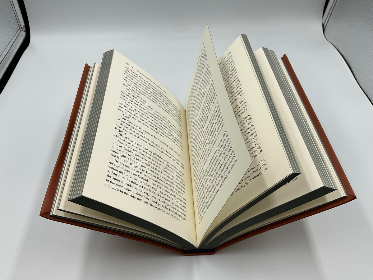 “The Adventures of Huckleberry Finn” by Mark Twain