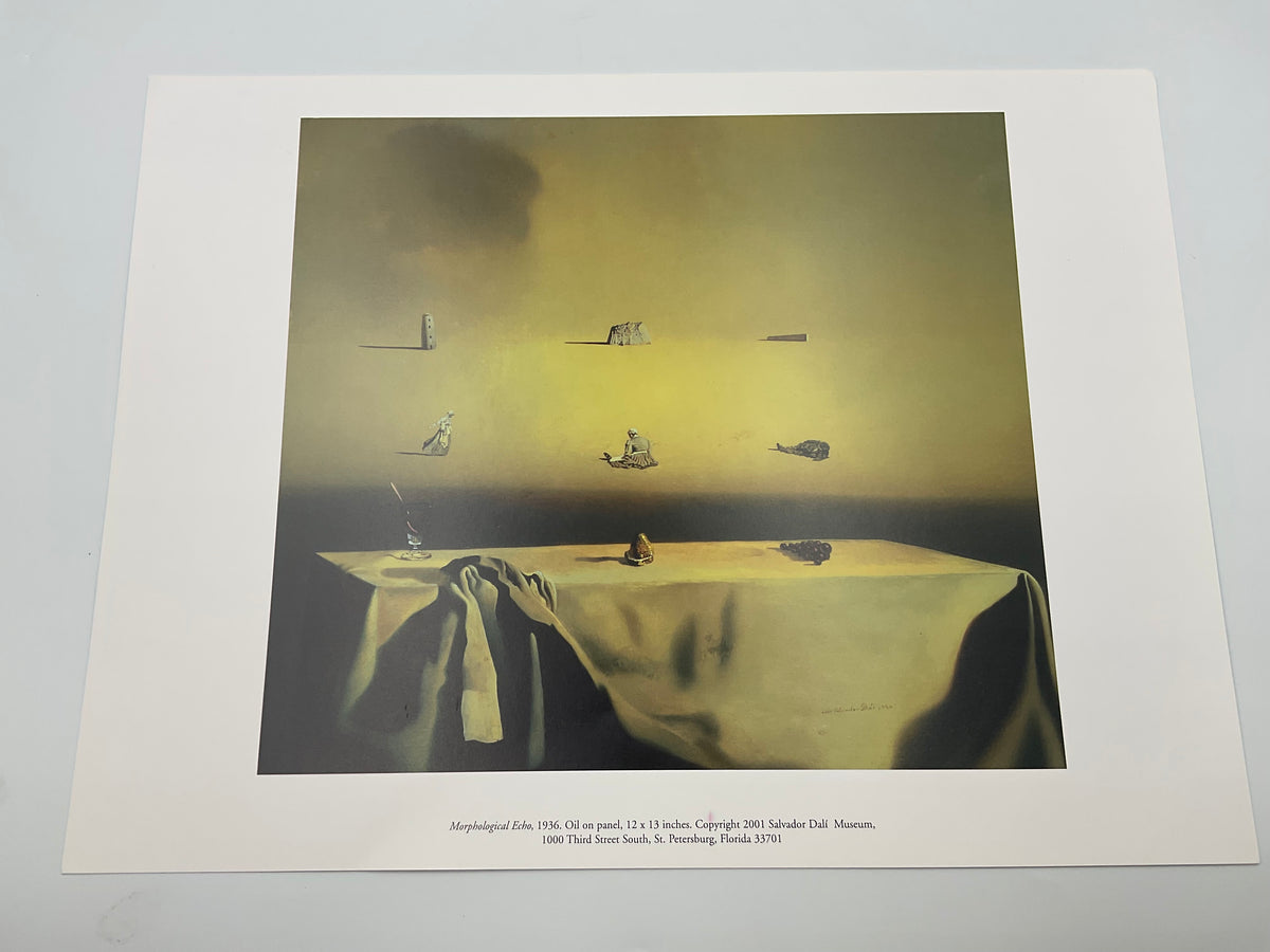 Salvador Dali Museum St Petersburg FL Art Print Portfolio As-Is Lot