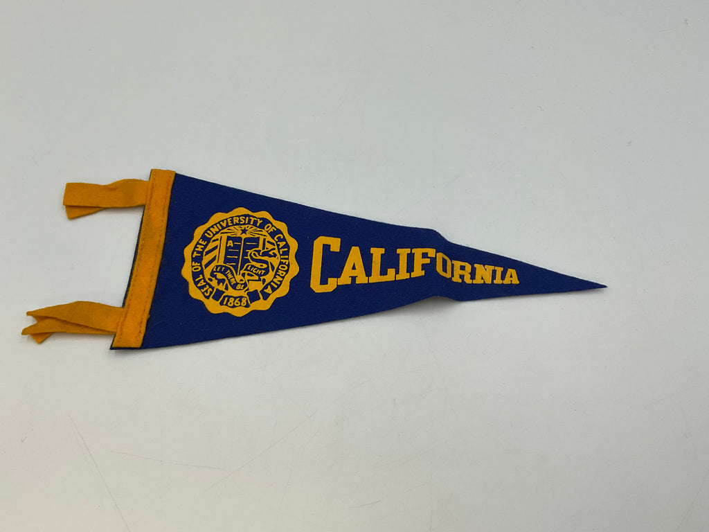 Vintage Souvenir & Collegiate Felt Pennant Banners