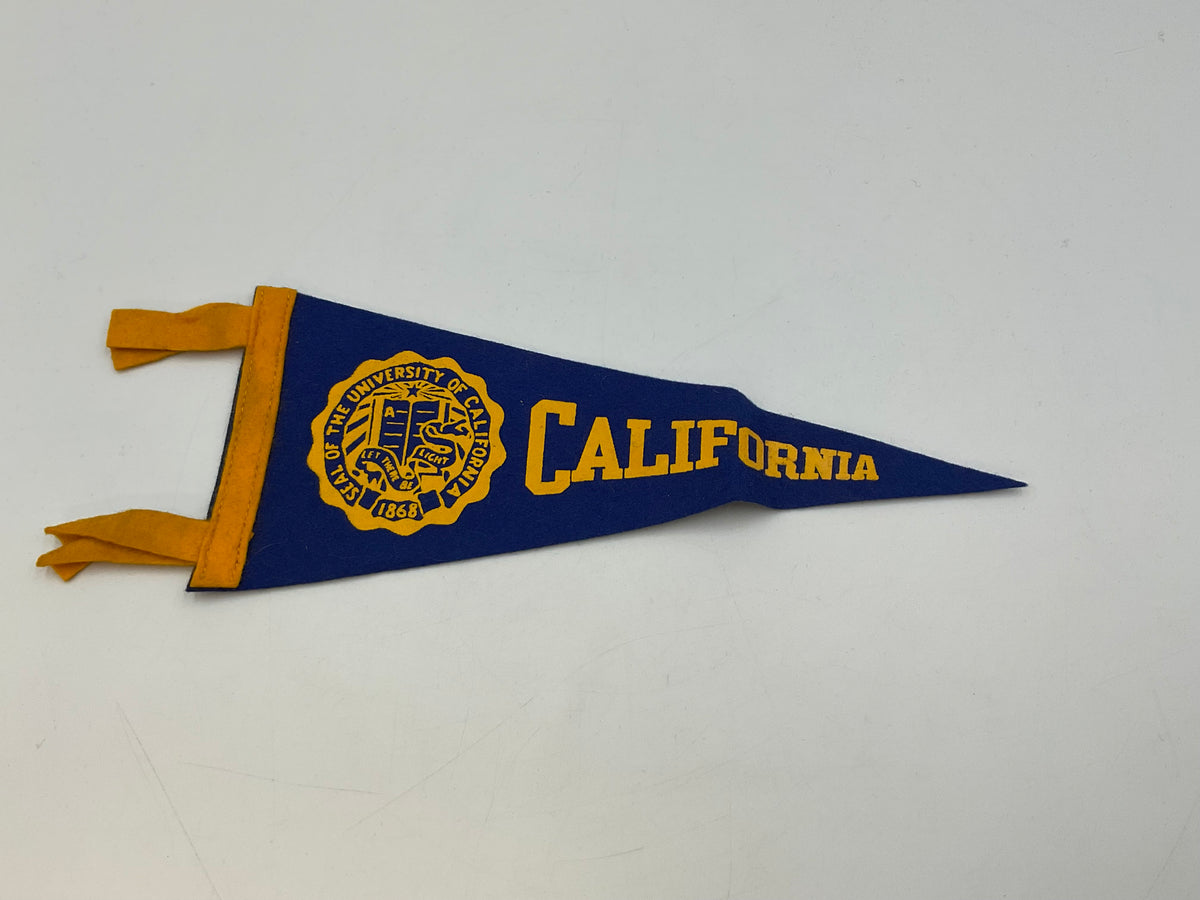 Vintage Souvenir & Collegiate Felt Pennant Banners