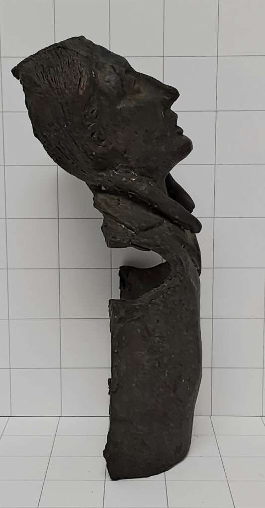 Bronze Bust of Native American in Waistcoat