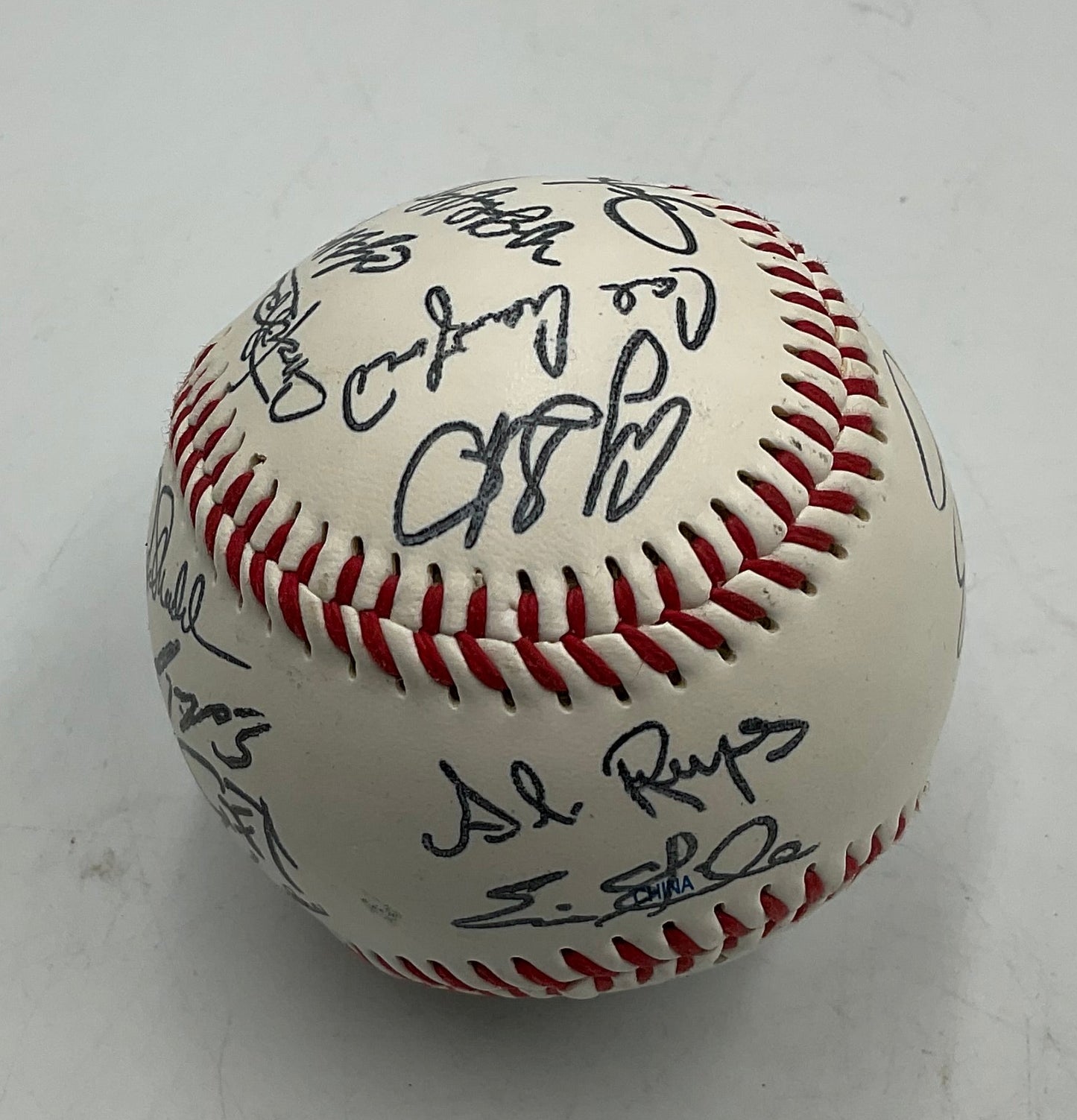Tampa Bay Rays AL East 2008 Champions Team Signed Baseball