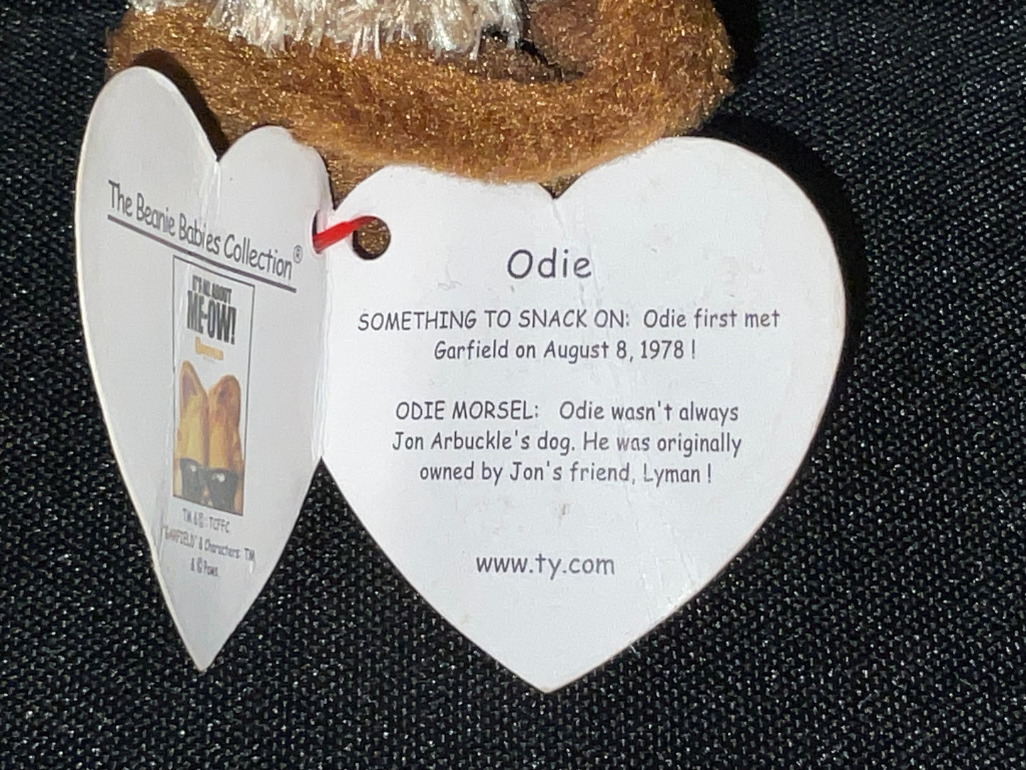 Ty Beanie Baby "Odie" From Garfield Show Dog Plush