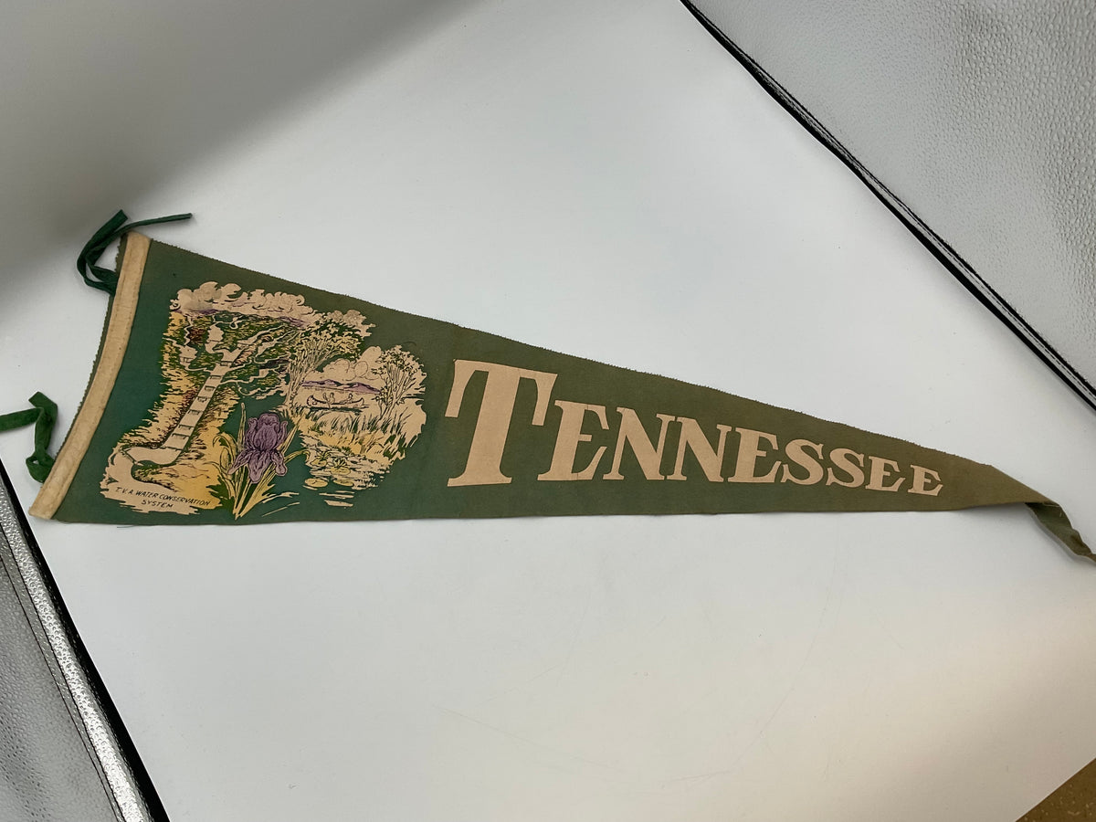 Vintage Souvenir Felt Pennants Collection