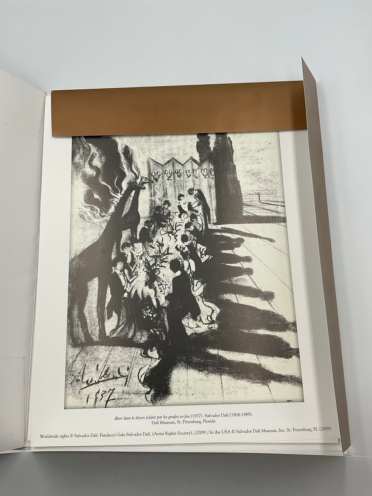 Vintage Salvador Dali Museum St Petersburg FL Dalí & Advertising Portfolio