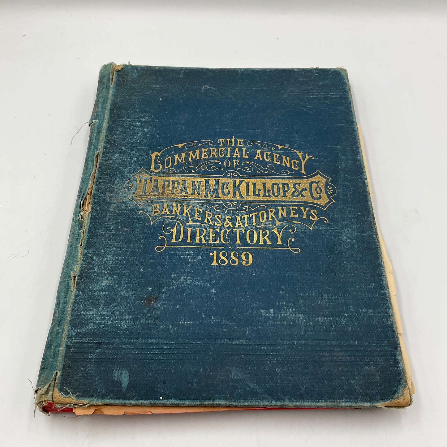 Vintage Hardcover “The Commercial Agency of Tappan McKillop & Co. Bankers & Attorneys District 1889”