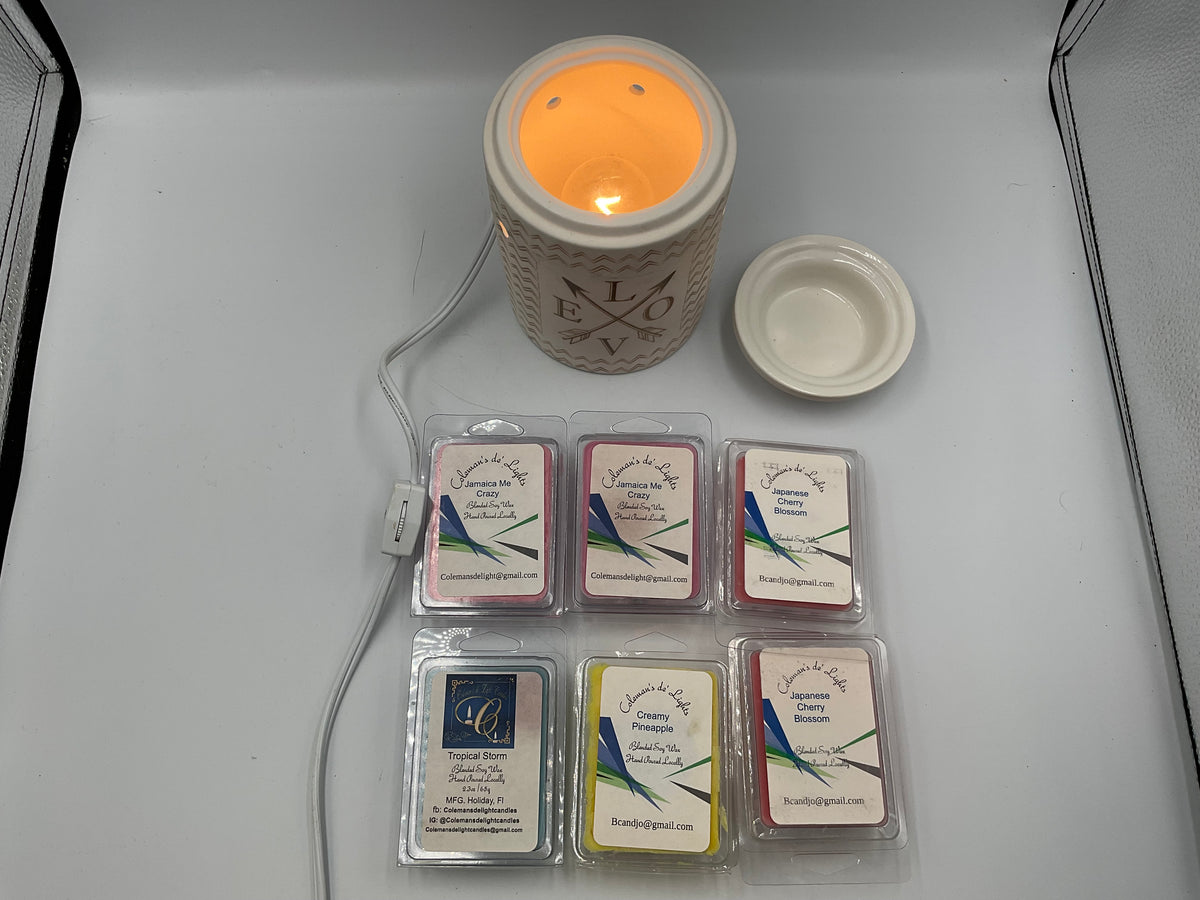 Scentsy Love Swept Wax Warmer With 6 Assorted Scented Wax Melts